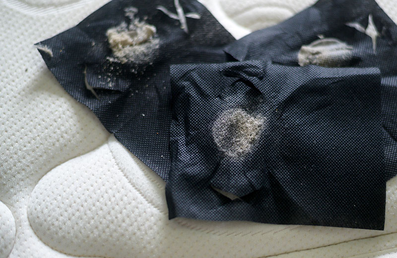 Staubsaugertest an der Matratze