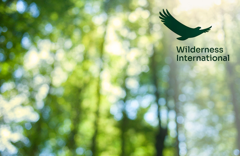 Co2-Neutrale Matratze